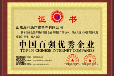 中国百强优秀企业 